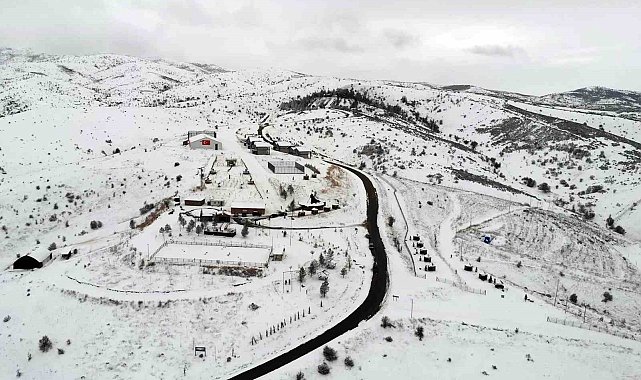 Kuraklığın fotoğrafı: Son iki yıldır aynı manzara