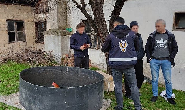 Kütahya'da horoz dövüşüne polis baskını
