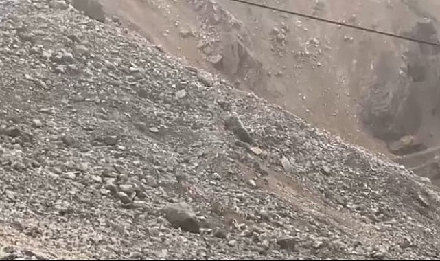 Malatya'da yaban keçileri sürü halinde görüntülendi