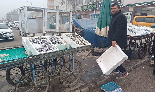 Malazgirt'te balık bolluğu yaşanıyor