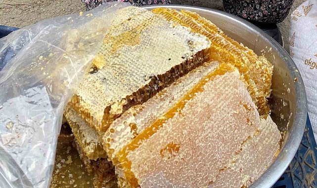 Manisa'da bal rekoltesi geçen yıla göre düşük kaldı