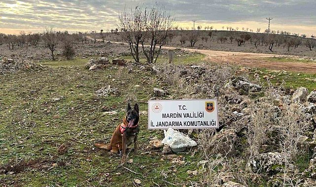 Mardin'de jandarmanın dikkati hain tuzağı bozdu