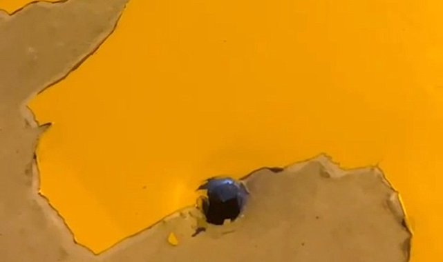 Mardin'de taksi maganda kurşununa hedef oldu