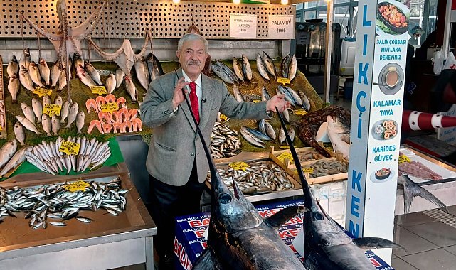Marmara Denizi'nde dev kılıç balıkları ağlara takıldı