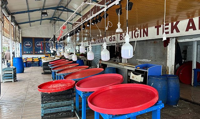 Marmara'da hava bozdu, balık fiyatları fırladı