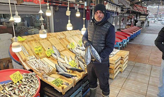 Marmara'daki fırtına balık fiyatlarını etkiledi