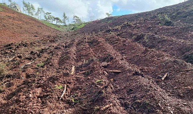 Marmaris'in ilk 'Bal Ormanı' için tüm hazırlıklar tamamlandı