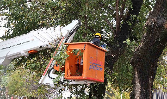 Marmaris'te bitkilere kış bakımı
