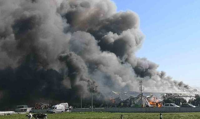 Mersin'de paketleme tesisinde yangın çok sayıda ekip müdahale ediyor