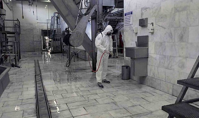 Muğla'nın 4 mezbahasında 2023 yılında 15 bin 565 büyükbaş hayvan kesildi