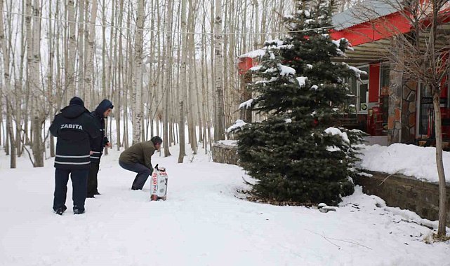 Muradiye Belediyesi sokak hayvanları için mama bıraktı