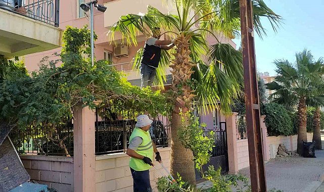 Mut'ta park ve bahçelerin kışlık bakımı devam ediyor