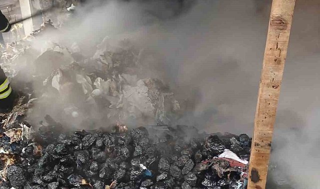 Odunlukta çıkan yangın büyümeden söndürüldü