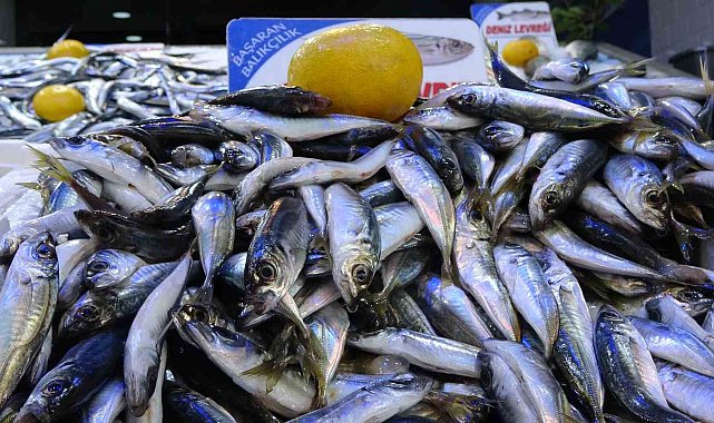 Olumsuz hava şartları sonrası avlanma azaldı, balık fiyatları 2'ye katladı