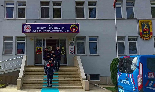 Ordu'da 100 bin TL'lik fındık çalan şüpheli yakalandı
