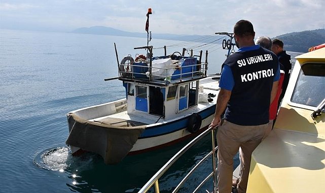 Ordu'da 2023 yılında balıkçılara yönelik bin 233 denetim gerçekleştirildi