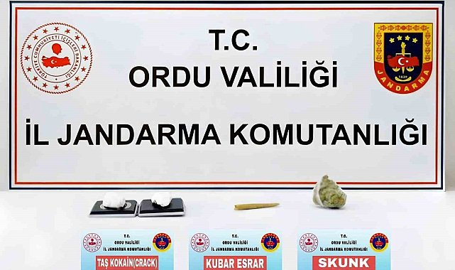 Ordu'da uyuşturucu operasyonu: 1 tutuklama