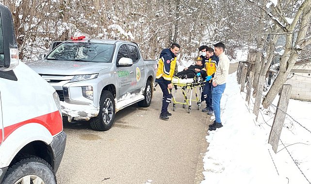 Ormancıların dikkati hayat kurtardı