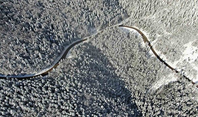 Ormanlar bu sefer beyaz örtüsüyle mest ediyor