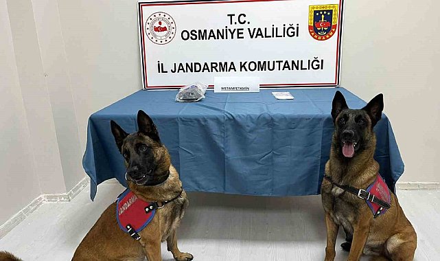 Osmaniye'de jandarmadan uyuşturucu operasyonu
