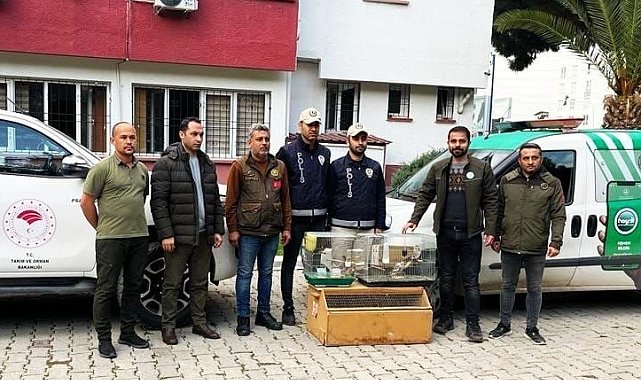 Osmaniye'de yasaklı kuş satan iş yerine 41 bin 817 TL para cezası
