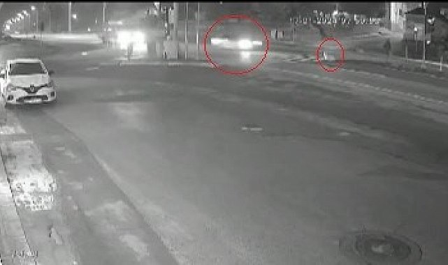 Otomobilin köpeğe çarptığı kaza kamerada