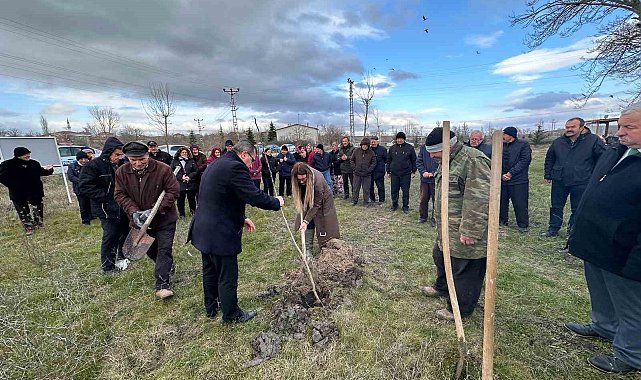 Pehlivanköy'de fidan dikim etkinliği