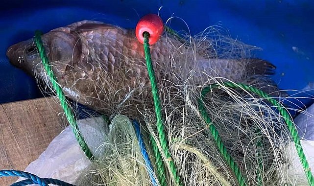 Pınarhisar'da kaçak balık avlayanlar yakalandı