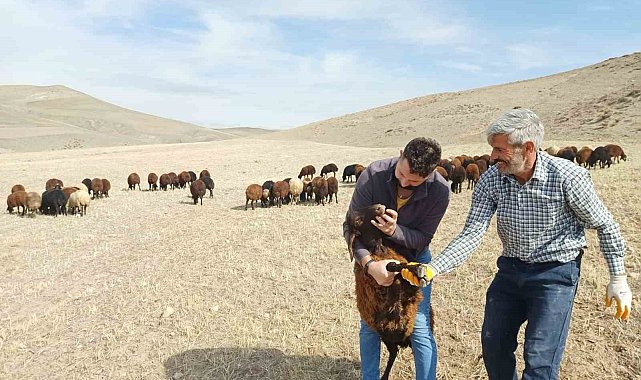 "Köyümde Yaşamak İçin Bir Sürü Nedenim Var" projesi yeniden başladı