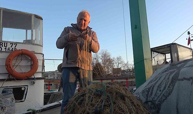Rotayı Marmara'ya çeviren balon balığı balıkçıları endişelendirdi