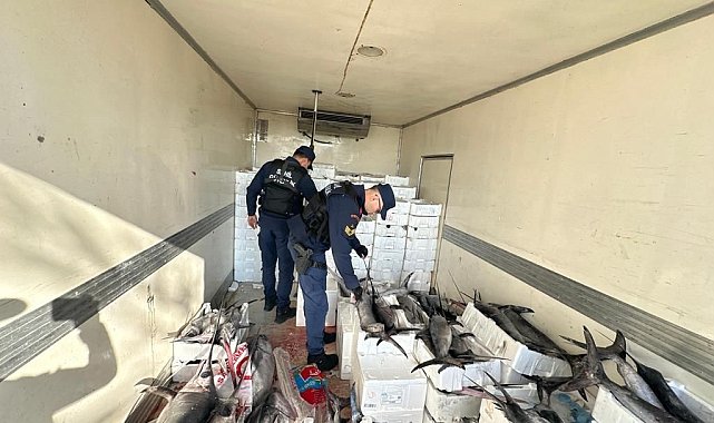 Sahil Güvenlik operasyonunda avlanması yasak mavi yüzgeçli orkinos balığı yakalandı