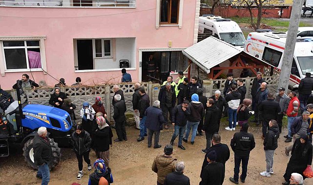 Sakarya'da acı olay: Asırlık çınar, yanarak hayatını kaybetti