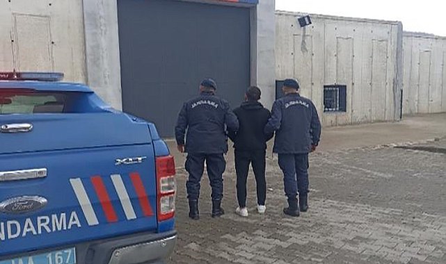 Sakarya'da jandarma ekiplerince bir ayda 631 şüpheli yakalandı