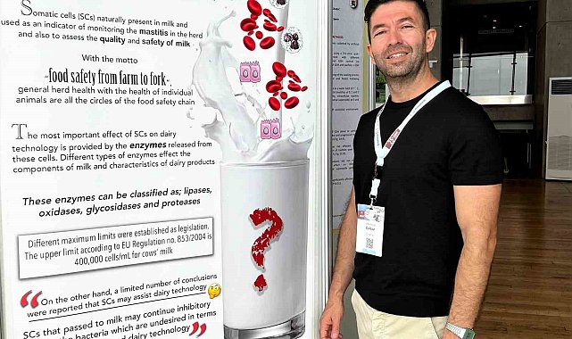 Salgına neden olan kedi koronavirüsü için PCR kiti geliştirildi