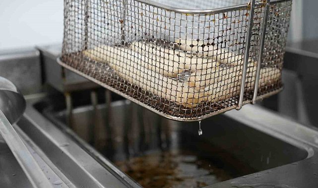 Samsun'da 259 adet fast-food işletmesinde kızartma yağları kontrol edildi