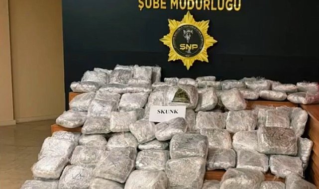 Şanlıurfa'da 85 kilogram skunk ele geçirildi