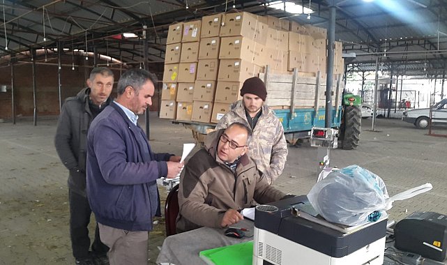 Sarıgöl'de tütün alımlarına başlandı