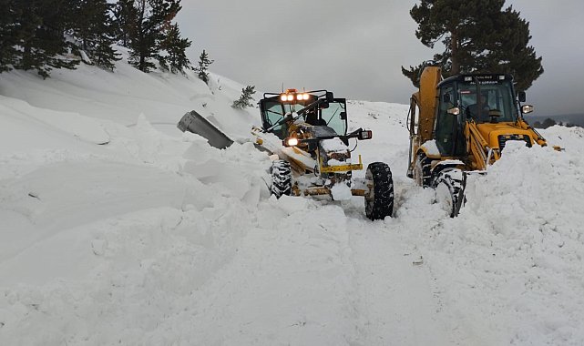 Sarıkamış'ta köy yoluna çığ düştü