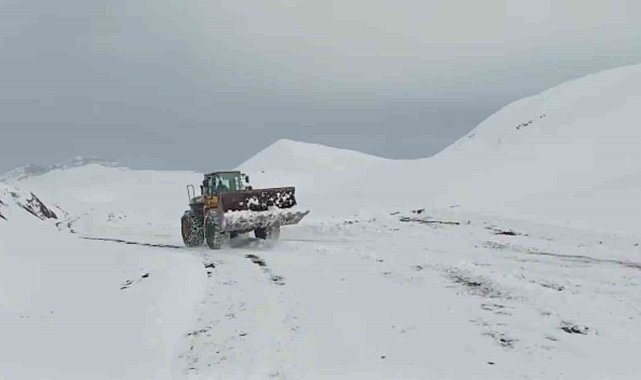 Siirt'te kar nedeniyle kapanan köy yolları ulaşıma açıldı