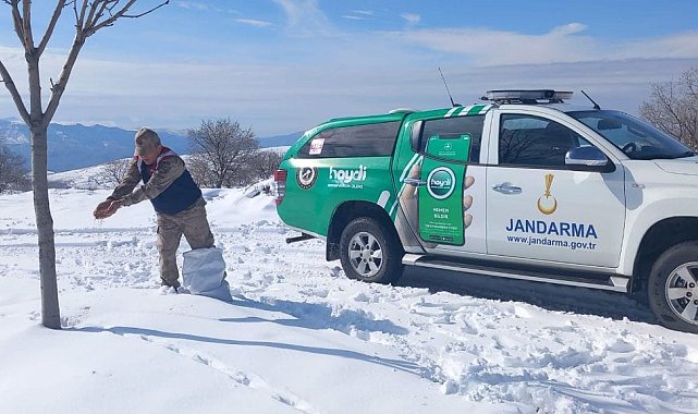 Siirt'te yaban hayvanları için doğaya yem bırakıldı