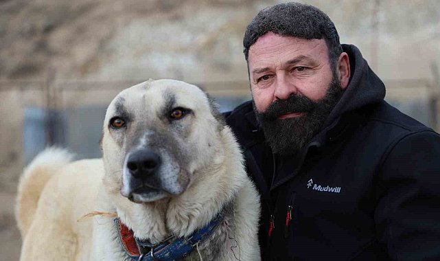 Sınır ötesi güvenliği için kangal tavsiyesi
