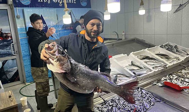 Sinop'ta 13 kiloluk dev levrek yakalandı