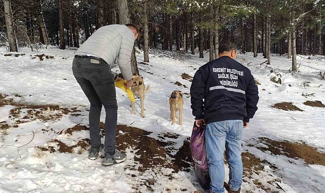 Sokak hayvanları için kar yağışı alan bölgelere yem desteği yapıldı