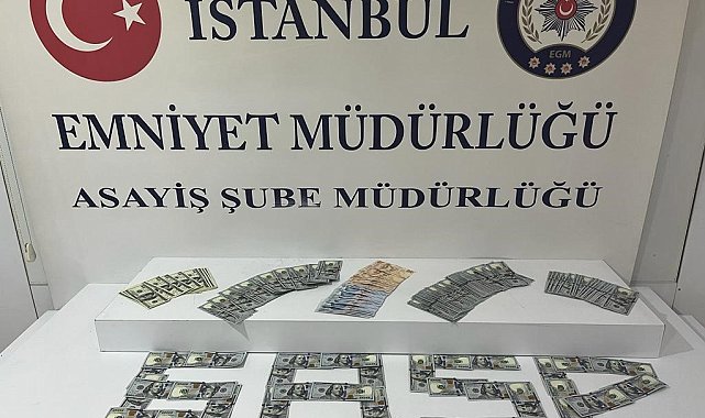 Sultangazi'de yaşlı adama tekme atıp, 14 bin dolarını gasp eden şüpheli kamerada