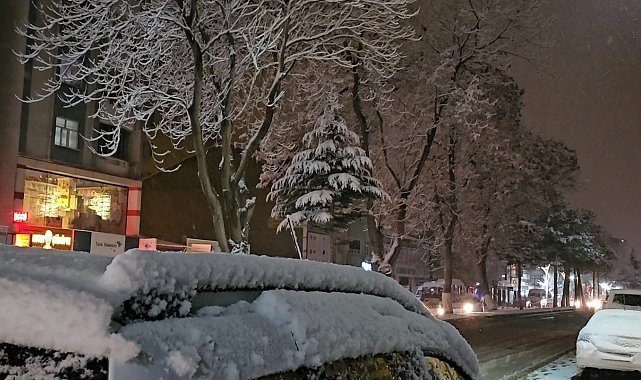 Tatvan'da 4 köy yolu ulaşıma kapandı
