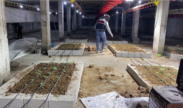 Tavuk çiftliğine uyuşturucu operasyonu: 1 şüpheli tutuklandı