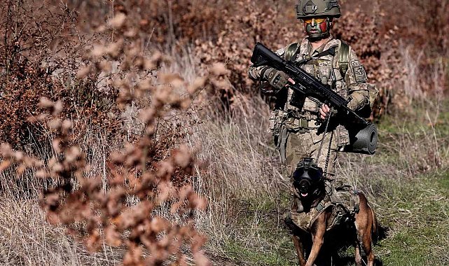 TSK'nın hassas burunları Bursa'da eğitiliyor