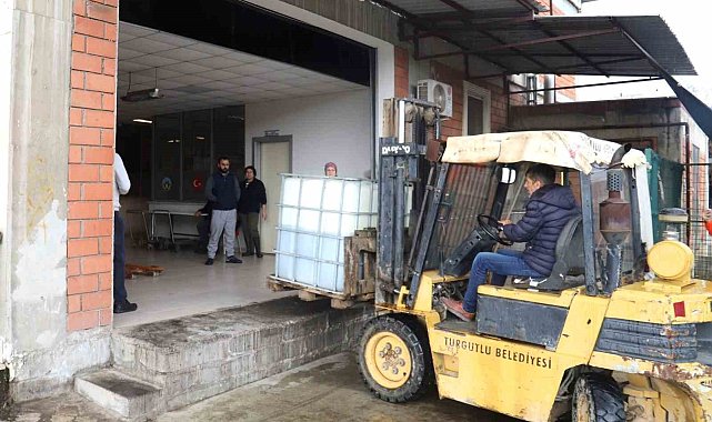 Turgutlu Belediyesinin zeytinleri, ihtiyaç sahiplerine aş oluyor