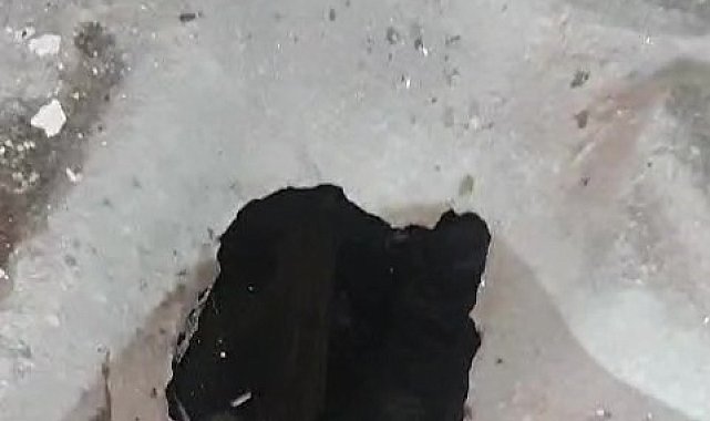 Tuvalet deliğine düşen kediyi itfaiye kurtardı