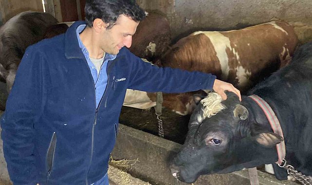 Üniversite mezunu genç köye yerleşip besici oldu
